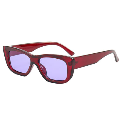 Retro Plastic Small Rectangle Sunglasses