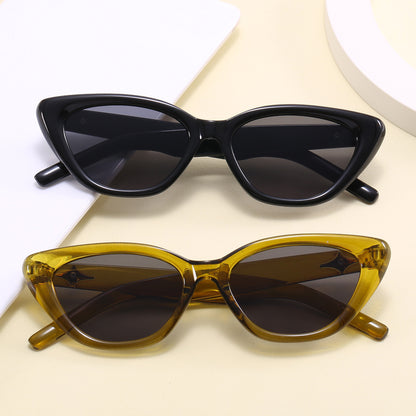 Retro Plastic Small Triangle Cat Eye Vacation Sunglasses