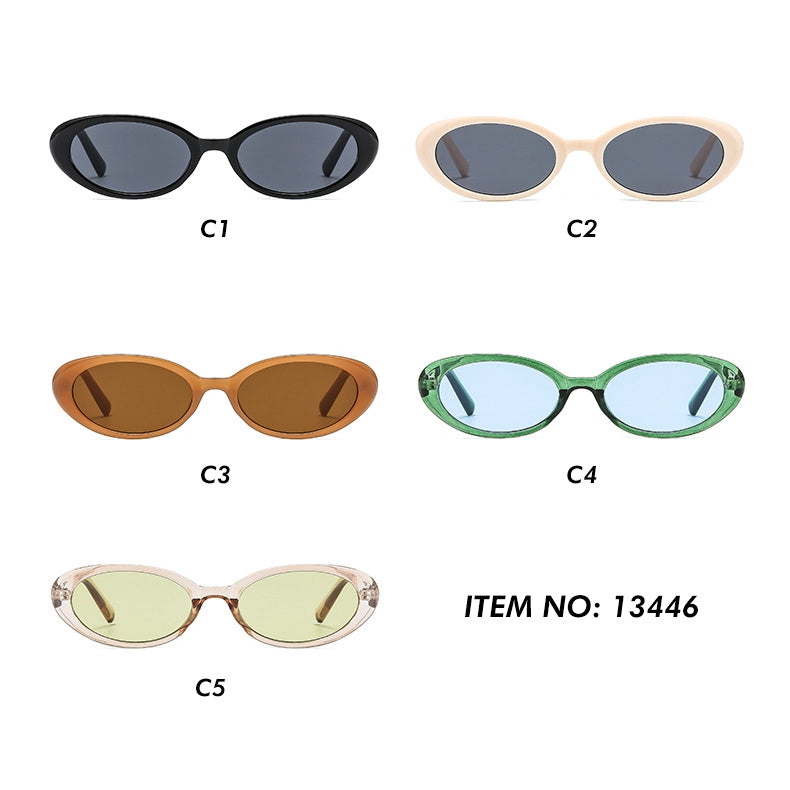 Plastic Small Oval Sunglasses