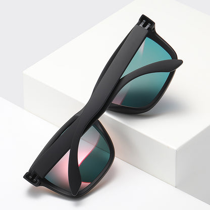Classic Polarized Sunglasses