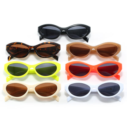 Retro Cat Eye Women Oval Outdoor Vacation Sunglasses