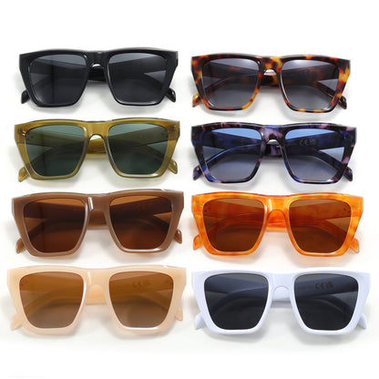 Oversized Cat Eye Women Square Shades Polarized Sunglasses