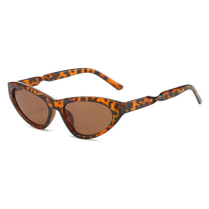 Small Triangle Cat Eye Sunglasses